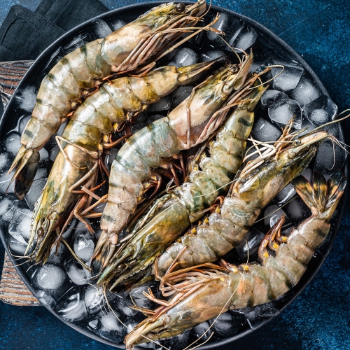 블랙타이거 대왕새우 특대 1.3kg