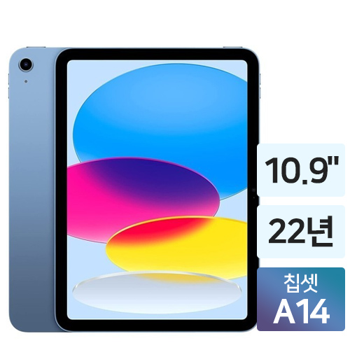 APPLE 2022 iPad 10세대 (256GB)