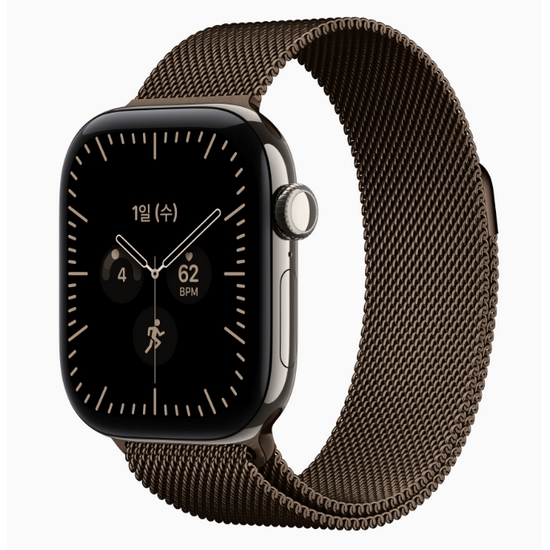 APPLE 워치 시리즈12 42mm Cellular 티타늄 (내추럴_밀레니즈루프)_이미지