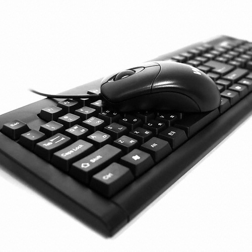W3 IGC-1100