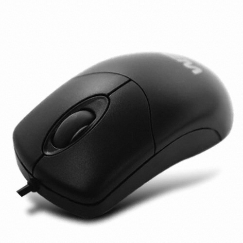 W3 IGC-1100_이미지