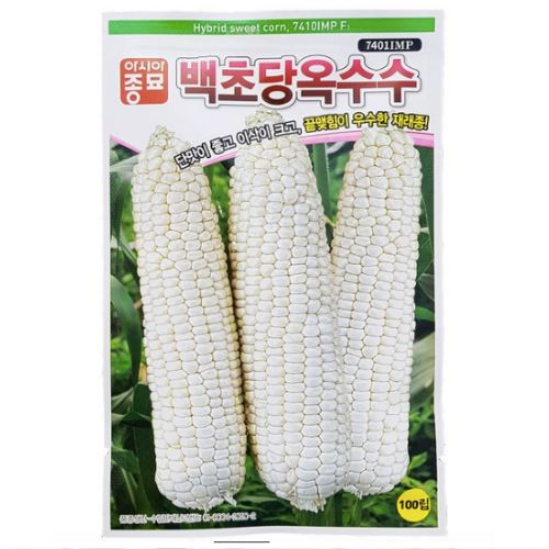 아시아종묘 백초당 옥수수 씨앗 2000립_이미지