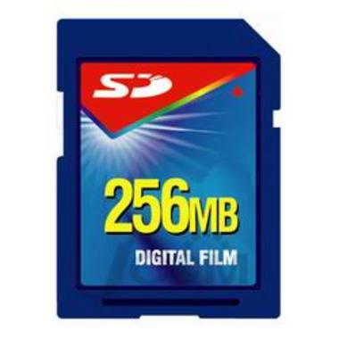 �������ʸ� SD