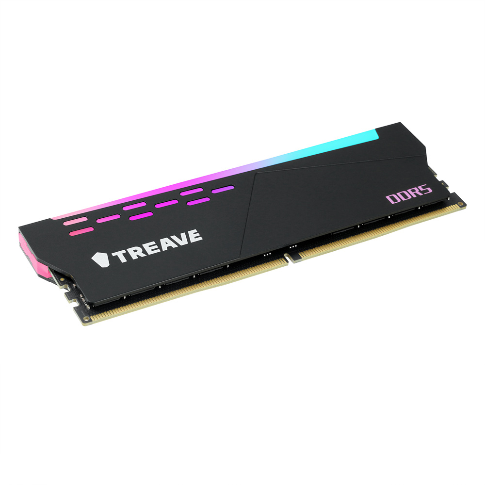 비즈텍 TREAVE DDR5-5600 CL46 ARGB 블랙 (32GB)_이미지