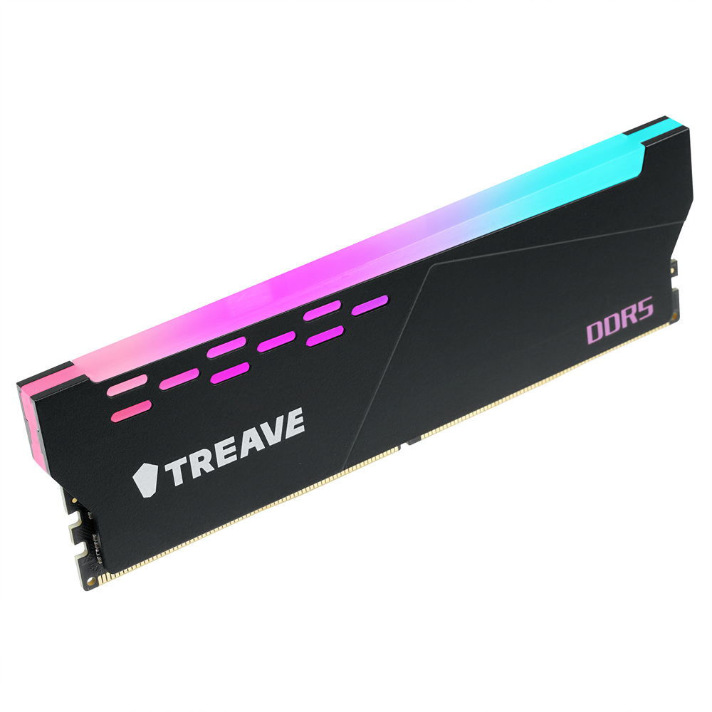 비즈텍 TREAVE DDR5-5600 CL46 ARGB 블랙 (32GB)_이미지