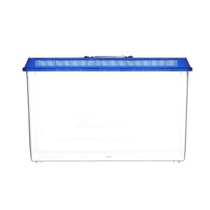 대일 대일 채집통  특대   약34cm /곤충/파충류통이미지입니다. 누르면 해당 게시물로 새창이동합니다.