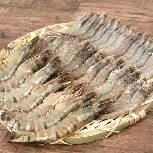 고래푸드 화이트새우 20미 500g [1개]