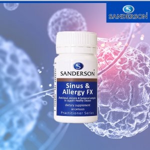  샌더슨 시너스 알러지 FX 60캡슐