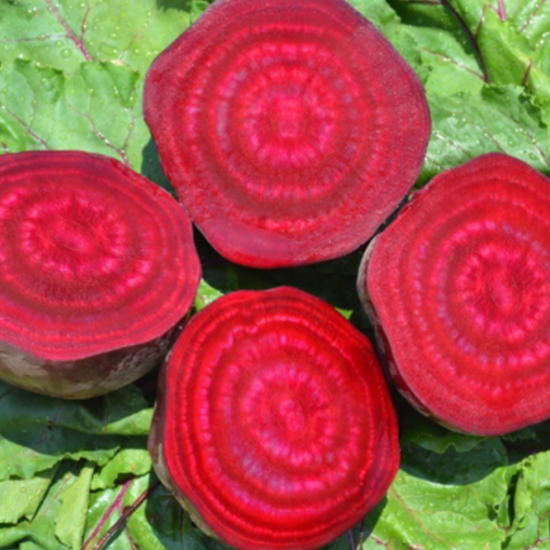 �����Ʈ ������ �ֽ��� 10kg