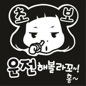 제제데코 초보 티나죠 휴 자동차스티커 초보운전 반사 시트지