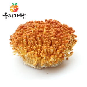 �츮���� Ȳ�ݼ��̹���  �ѹڽ�