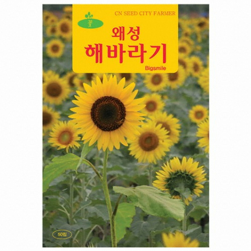 보람농원 동산원  왜성해바라기 키작은 해바라기 해바라기씨앗 꽃 씨앗
