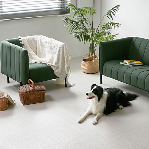 리포소 ㅤ엔젤 롤 강아지 매트 6mm (110x500cm)_이미지