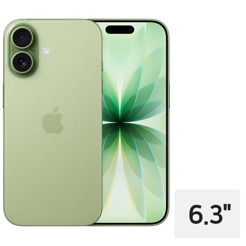 APPLE 아이폰17 512GB, 자급제 (세이지)
