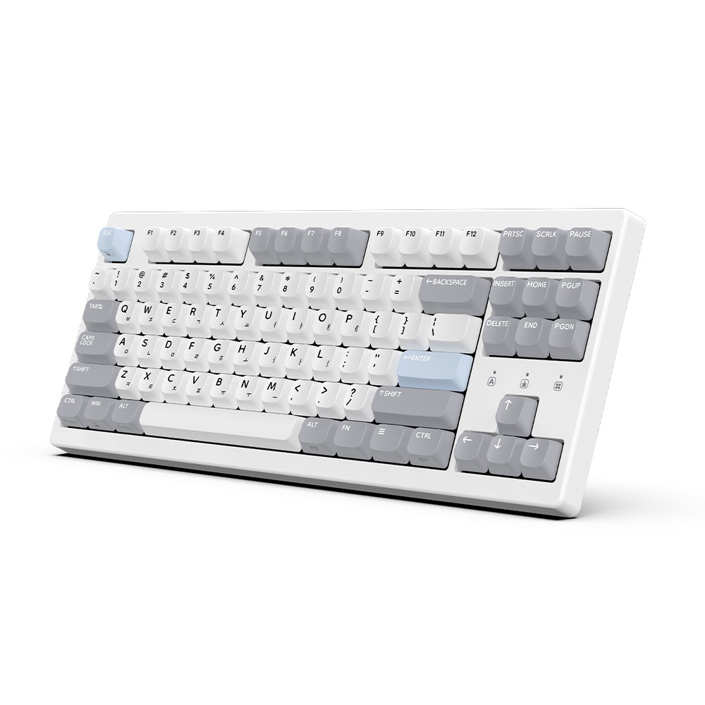 �Ѽ���ǻ�� TFG Magnetox XL