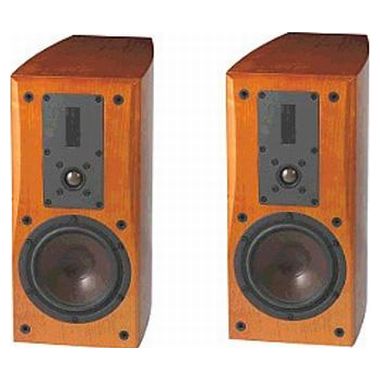 달리 Helicon 300_이미지