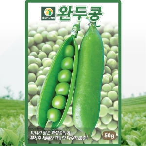 다농 완두콩 씨앗 완두 콩씨 종자 50g이미지입니다. 누르면 해당 게시물로 새창이동합니다.