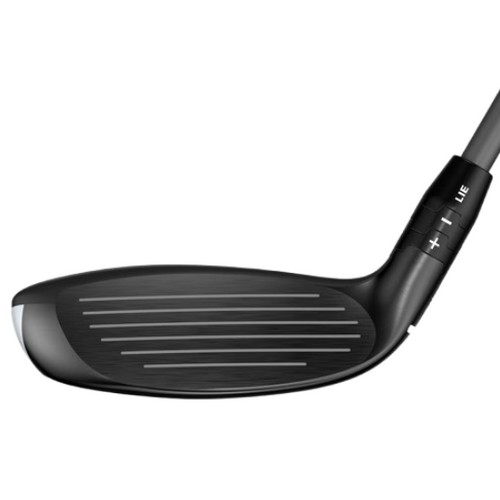 Ķ������ ���� �ƽ� ���̺긮��