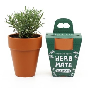 Ʒ�򼼻� Ʒ�򼼻�  �� ���� �ݷ��Ĺ� ������Ʈ �����