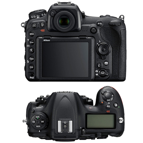 ���� D500 �ٵ�