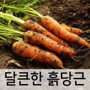 야과몰 국내산 못난이 흙당근 10kg이미지입니다. 누르면 해당 게시물로 새창이동합니다.