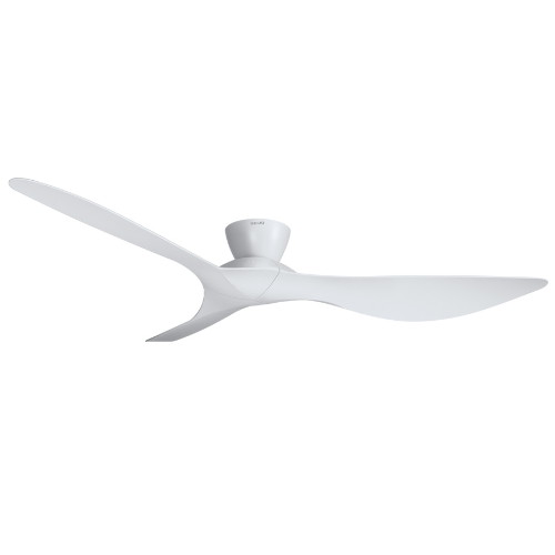 루씨에어 코타라_이미지