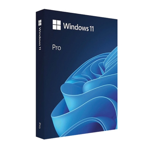 Microsoft Windows 11 Pro (처음사용자용 영문)