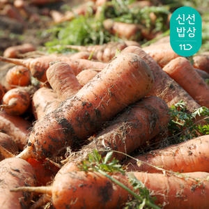 맛을아는남자 제주 구좌 햇 흙당근 중 3kg_이미지