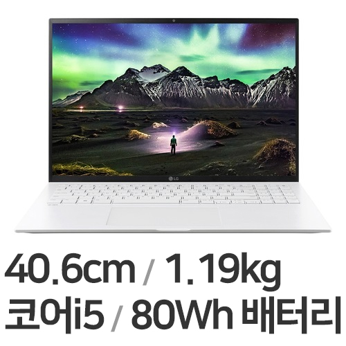 LG전자 2022 그램16 16Z95P-GR50K (SSD 256GB)