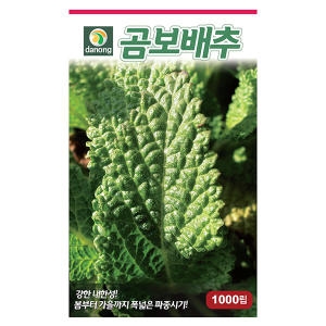 다농 곰보배추씨앗 1000립