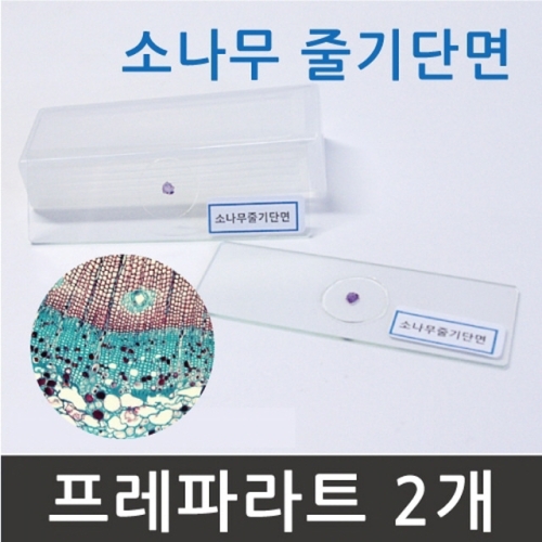 ���� ��  �ٱ�ܸ� �����Ķ�Ʈ /���̰�ǥ�� ���� ����