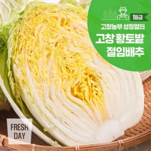 프레시데이 정성가득 고창 황토밭 김장 절임배추 20kg