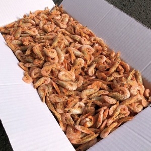 신건호멸치 건새우 1.5kg (1개)_이미지