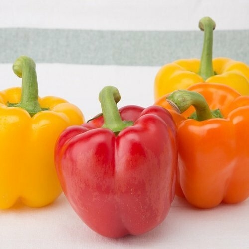 착한식탁 신선한 가정용 파프리카 5kg_이미지
