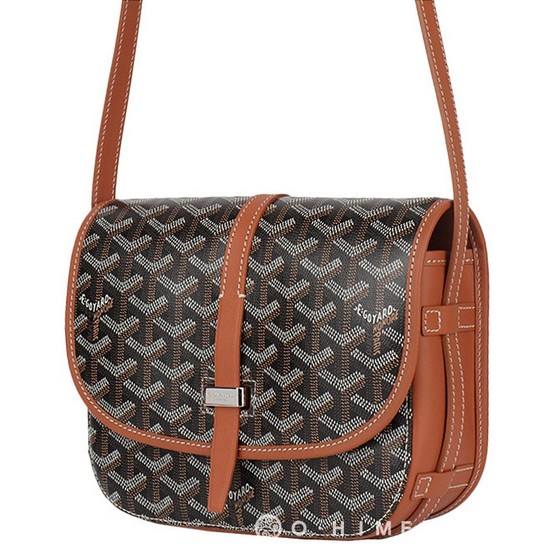 고야드 벨베데르 PM 기본 (블랙텐)_이미지