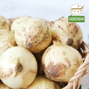 요리의 감초 아삭달큰한 무안 햇 양파 소 10kg
