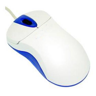 사이텍시스템 ANY Optical OMS3PX
