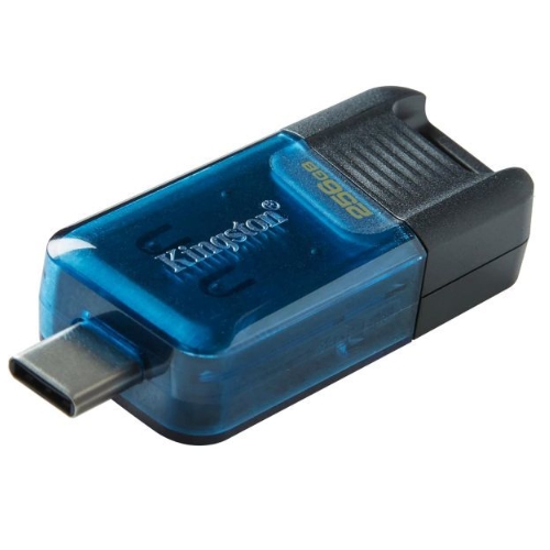 킹스톤 DataTraveler 80 M 해외구매 (256GB)_이미지