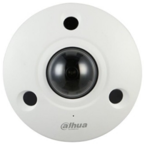 DAHUA IPC-EBW81242_이미지