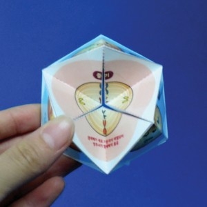  세포 분열 과정 퍼즐 5인