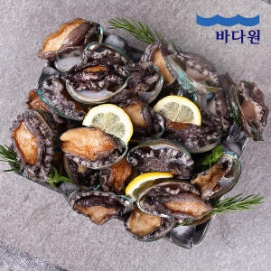 바다원 완도 활전복 19~20미 내외 1kg (1개)_이미지