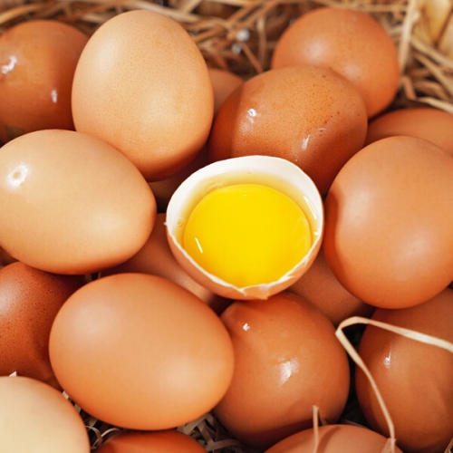 전라도청년 무항생제 난각번호 1번 자연방사 유정란 20구 [1개]