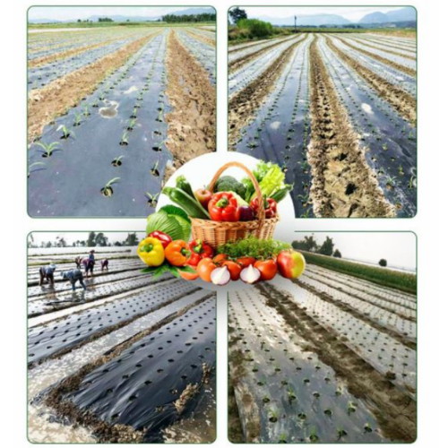 솜브리야 무드무드 멀칭비닐 (95cm x 10m)