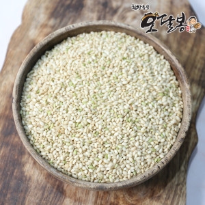 ������ο��޺� ��õ ���� ������ �������� ������ 10kg 25���