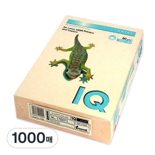 카피어랜드 몬디 IQ Color 복사용지 A4 80g (1,000매)