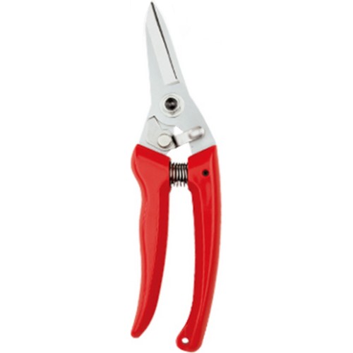 ������ �������� 70