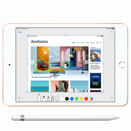 APPLE iPad mini 5세대 중고 (256GB)_이미지