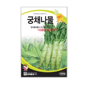궁채나물씨앗 1000립