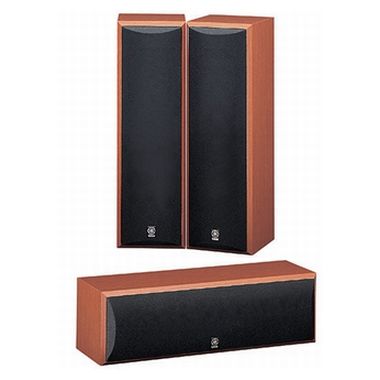 �߸��� NS-Series NS-P125 ����,����