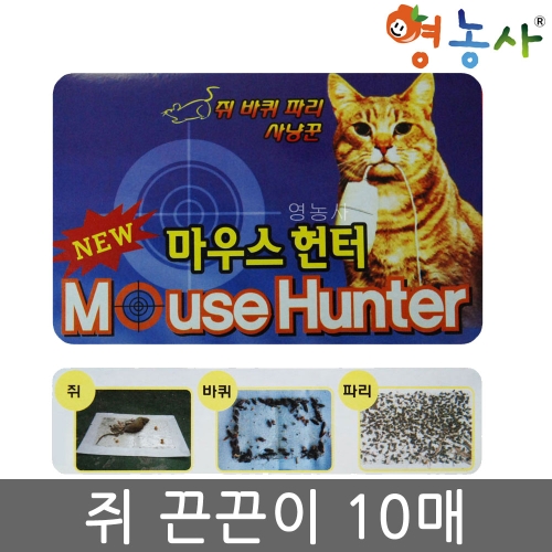 쥐끈끈이 10매/쥐약 바퀴벌레 파리 약 쥐 해충 끈끈이_이미지